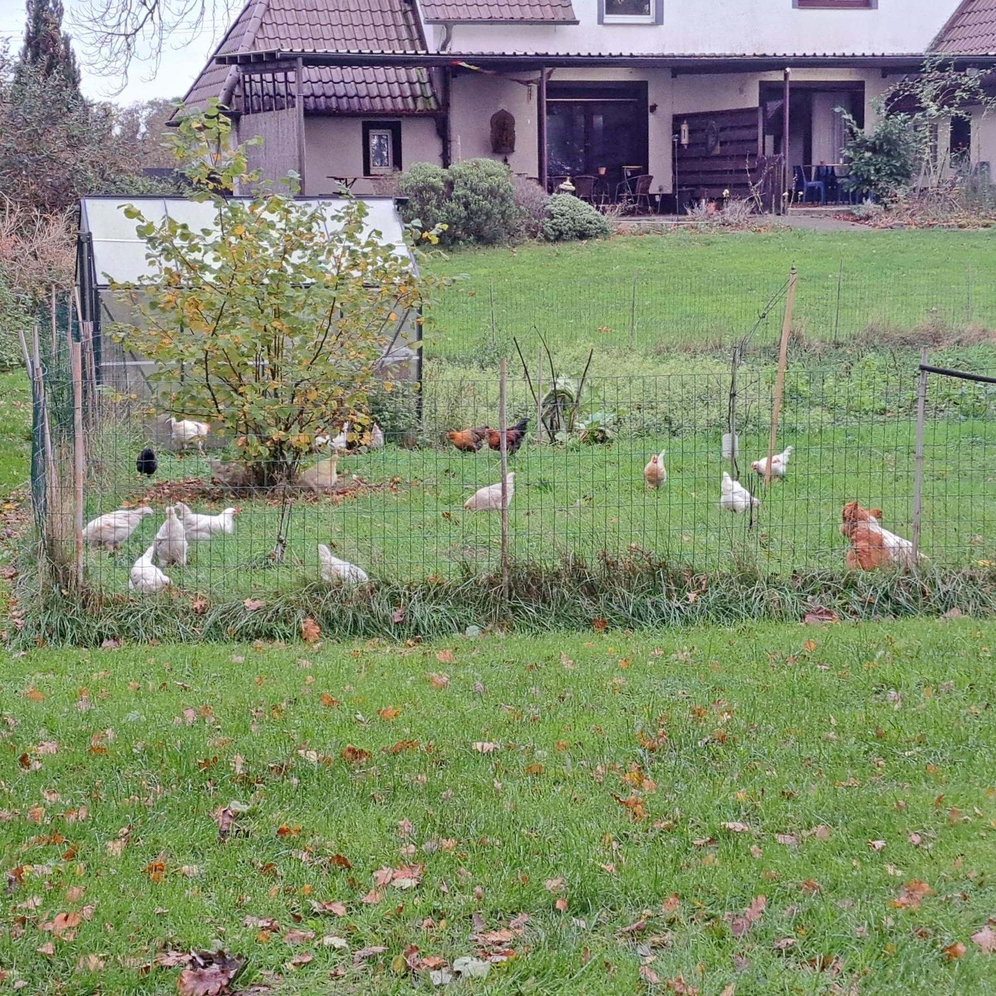 Lovely House In The Countryside By Nordhorn Exterior photo